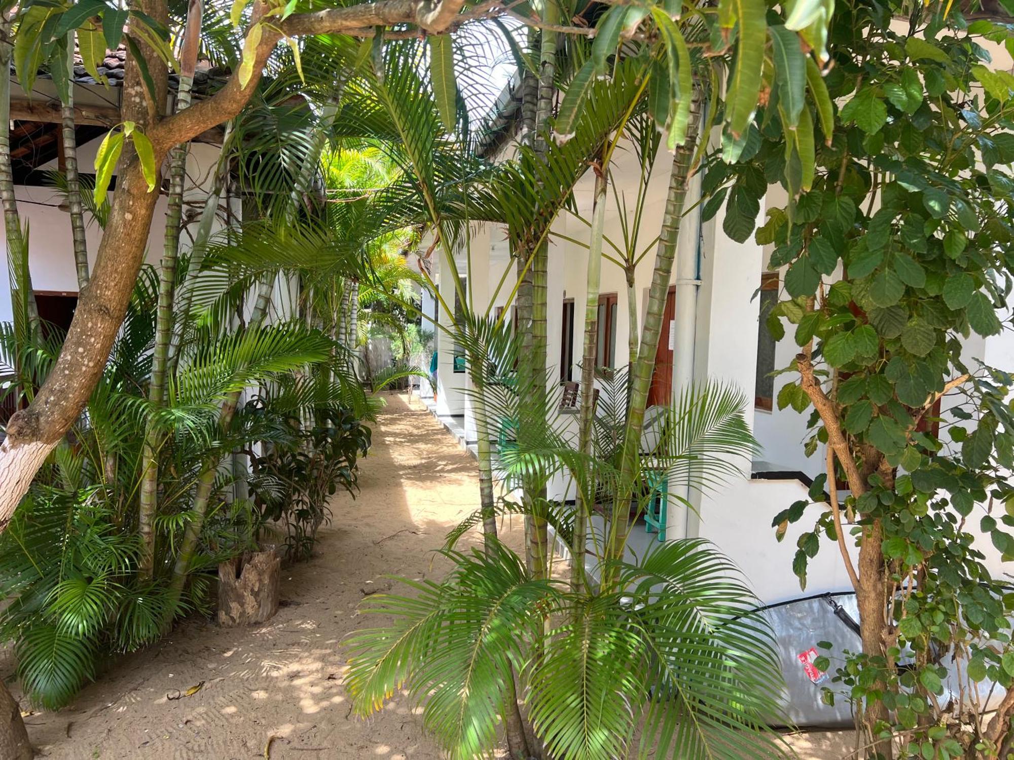 Hotel Moxy Bay Arugambay à Baie d'Arugam Extérieur photo